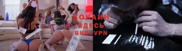 МДПВ Горняк