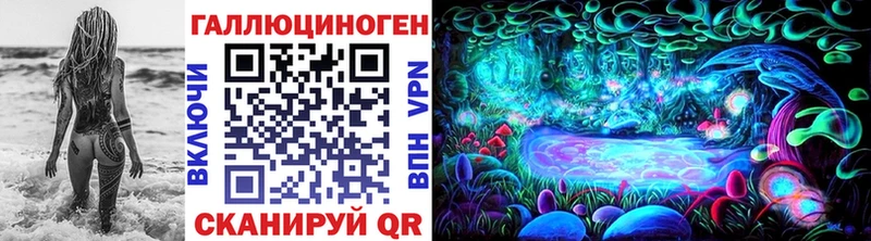 блэк спрут зеркало Армавир Псилоцибиновые грибы GOLDEN TEACHER