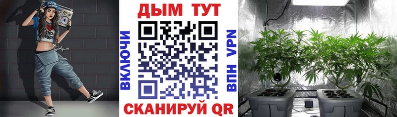 Канабис VHQ  Армавир 